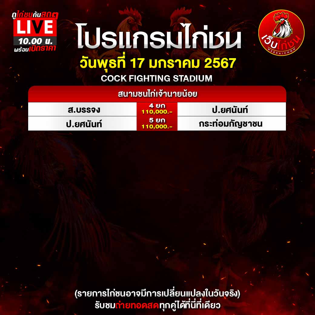 ดู ไก่ชน 17167