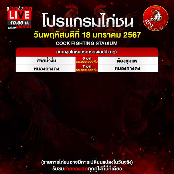 ไก่ชน คู่ดุเดือด 18167