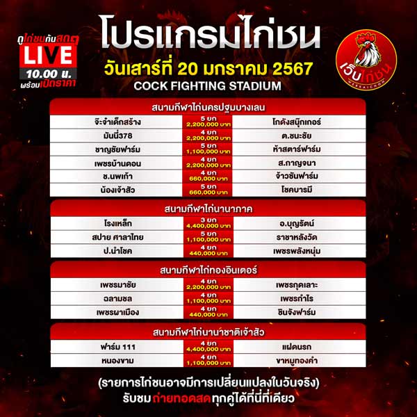 ไก่ชนเงิน ล้าน 20167