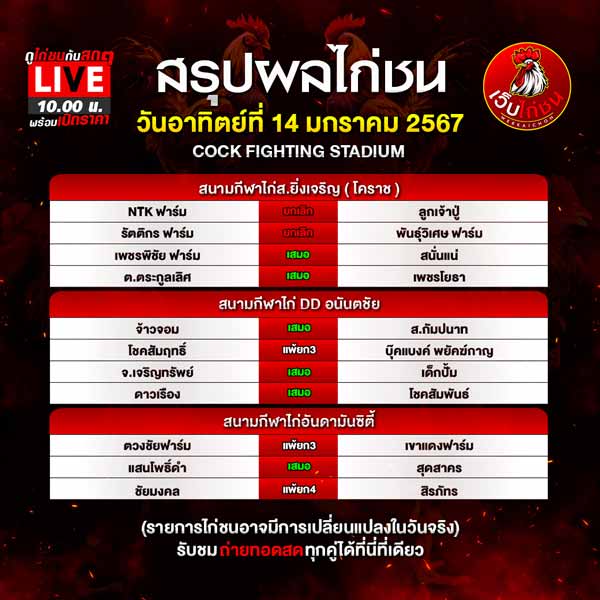 การชนไก่ 14167