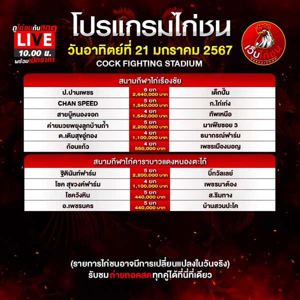 ไก่เก่ง น็อคเร็ว 21167