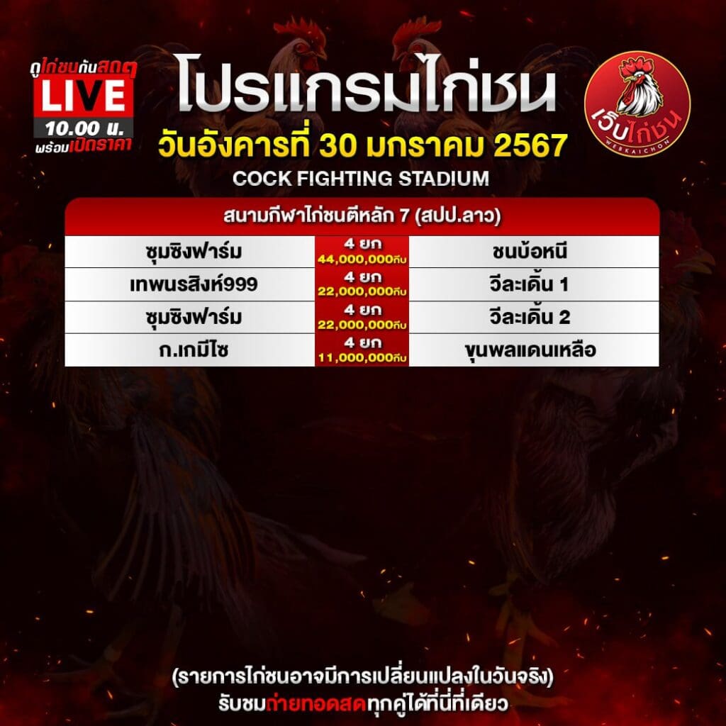 ไก่ชน บนมือถือ300167