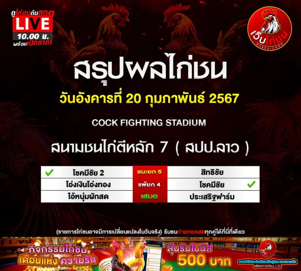 ไก่เก่ง น็อคเร็ว200267