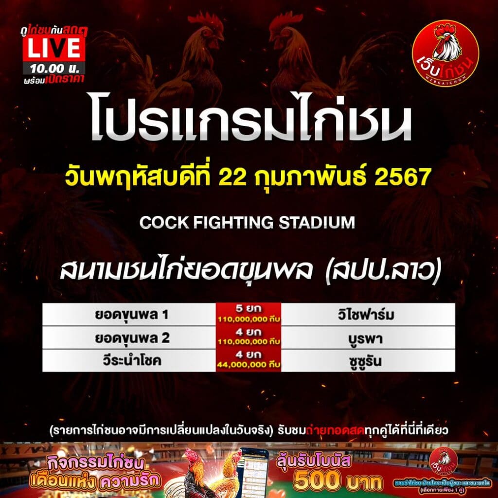 คนรัก ไก่ชน220267