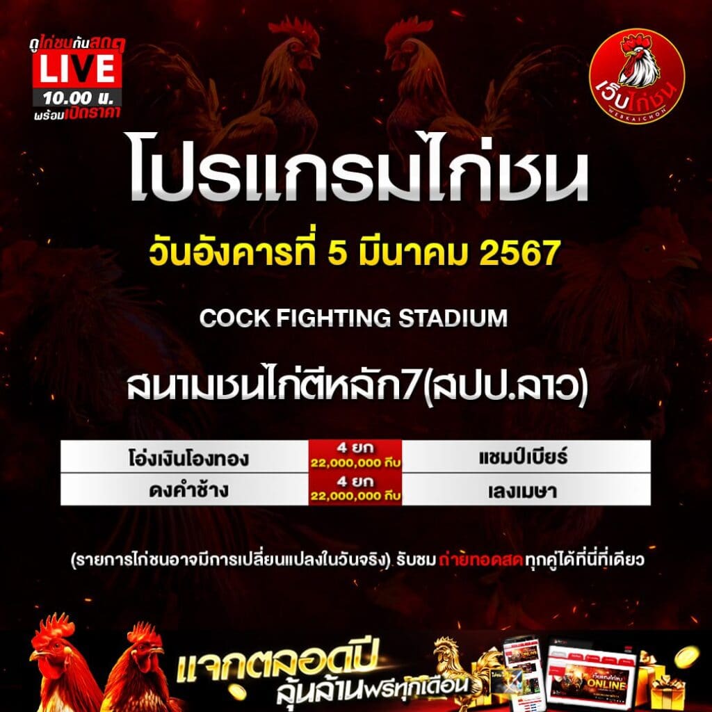 ไฮไลท์ไก่ชน888050367